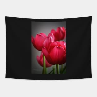 Tulips In The Morning Light Tapestry