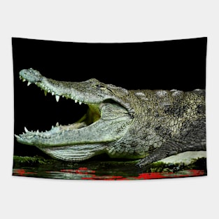 Alligator / Swiss Artwork Photography Tapestry