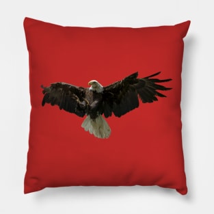 Majestic Bald Eagle Pillow