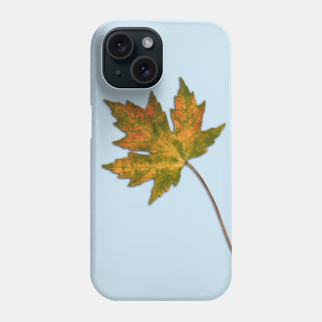 Maple leaf in autumn Phone Case by Bwiselizzy