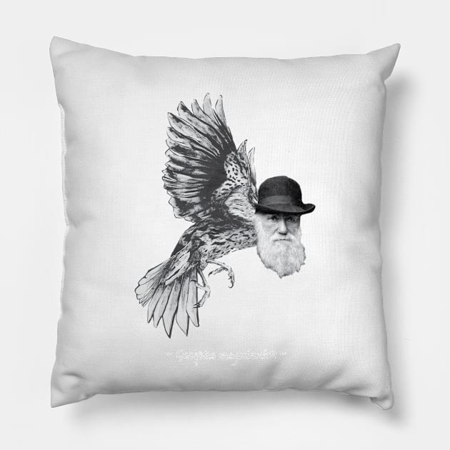 Darwin Finch Pillow by tk6189