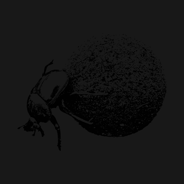 Dung Beetle Rolling Dung Ball | African Wildlife by scotch