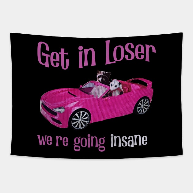 Get In Loser We're Getting Insane Tapestry by Magic Topeng