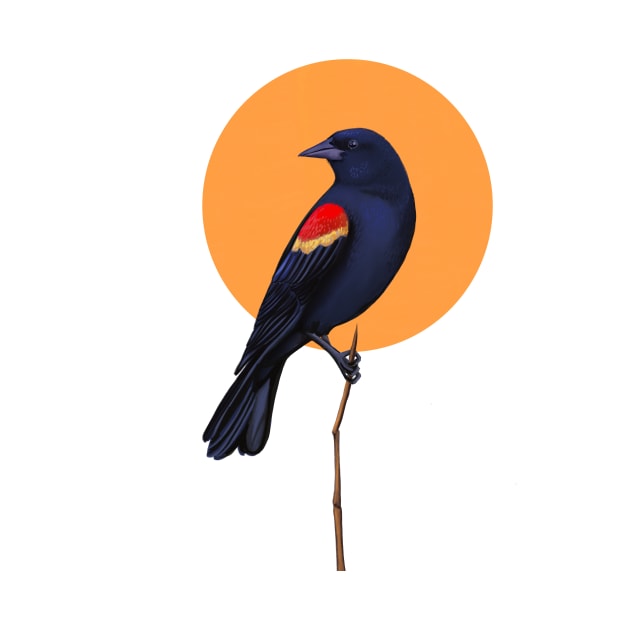 Red winged blackbird by Leticia Powers 