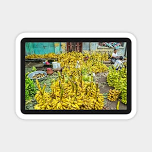 Bananas Galore. Magnet