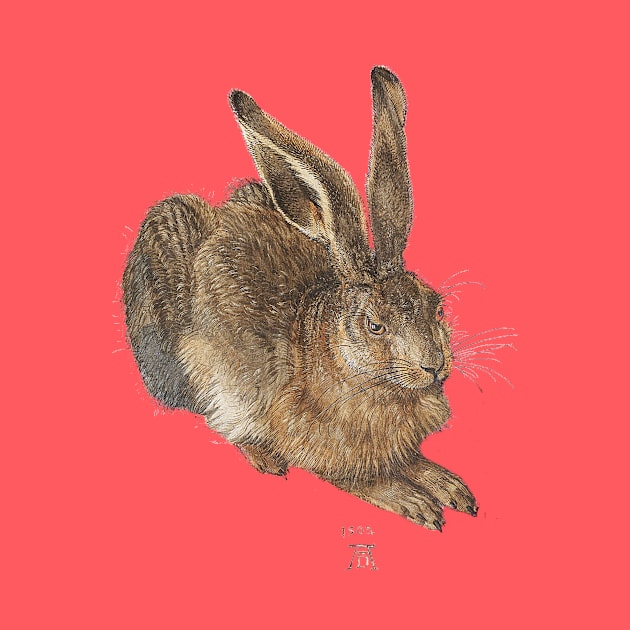 A Young Hare - Albrecht Durer by The Blue Box