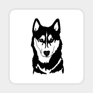 Husky black and white wall eyes Magnet