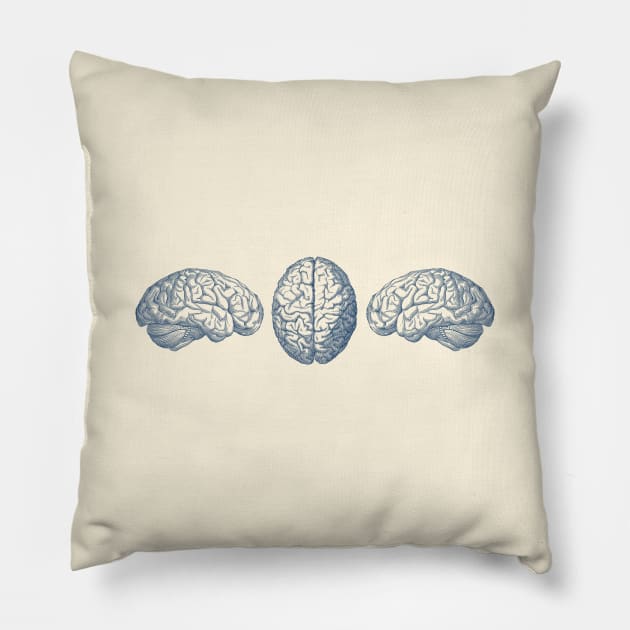 Human Brain - Triple View - Vintage Anatomy Pillow by Vintage Anatomy Prints