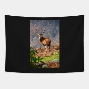 Red Deer Stag Tapestry