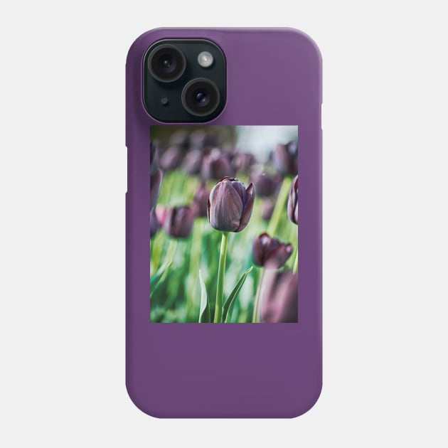 Black Tulip Phone Case by BonniePhantasm