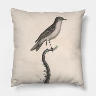 Female Ruby Kinglet Pillow