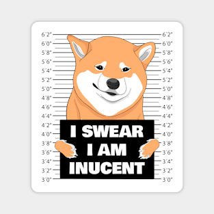 Funny Inucent Shiba Inu Magnet