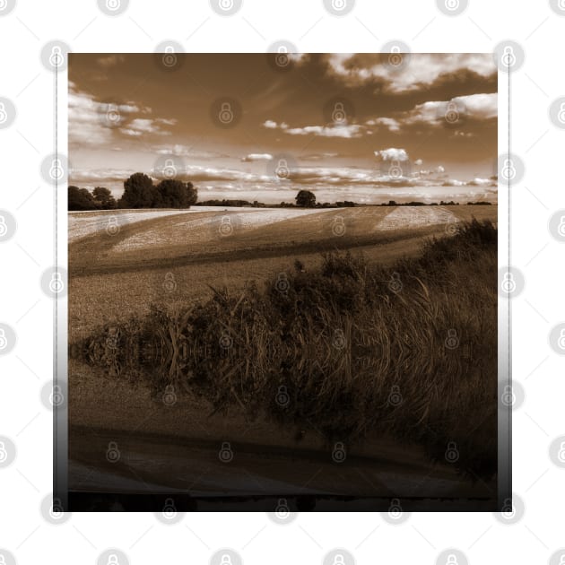 Splendid scenic sepia view of German farmland of Schleswig-Holstein by Khala