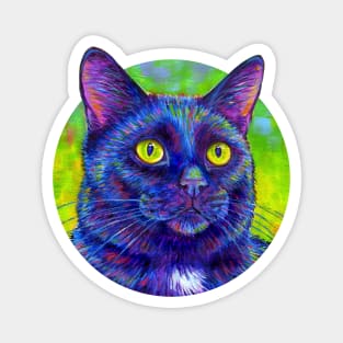 Colorful Black Kitty Cat Magnet