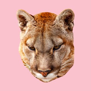 Mountain Lion looking down T-Shirt