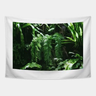 Forest Ferns Tapestry