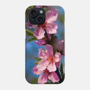 Peach Blossom. Phone Case