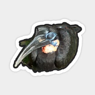 Abyssinian Ground Hornbill Magnet