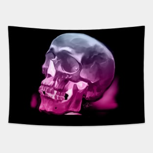 Skull Study 3 Tapestry