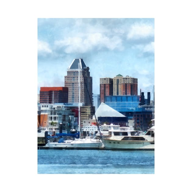 Baltimore MD - Baltimore Skyline and Harbor by SusanSavad