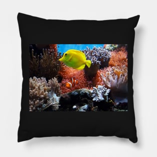 Colorful Fish in the Coral Pillow