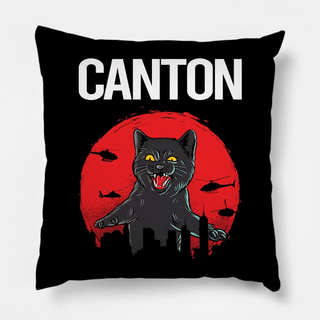 Funny Black Cat Canton Pillow by flaskoverhand