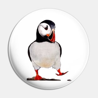 Puffin Pin