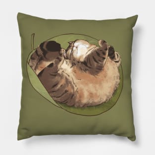 Tabby cat sleep in a leaf Pillow