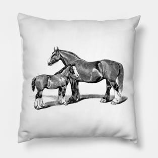 Shire Mare and Foal Black and White Horse Illustration Pillow