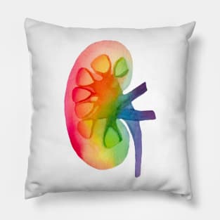 Watercolor Rainbow Kidney (white) Pillow
