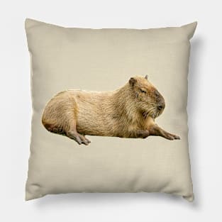 Lazy Sunday afternoon Capybara Pillow