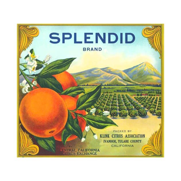 Splendid Brand Oranges Crate Label by WAITE-SMITH VINTAGE ART