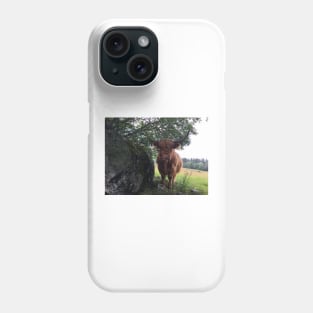 Scottish Highland Cattle Cow 2435 Phone Case