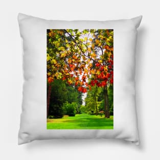 Autumn Acer Tree Westonbirt Arboretum Cotswolds Gloucestershire Pillow