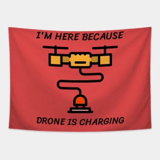 I'm here because drone is charging Tapestry