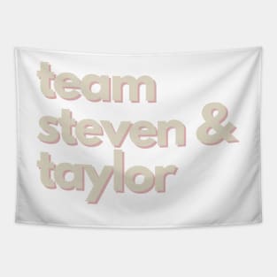 Team Steven and Taylor The Summer I Turned Pretty Tapestry