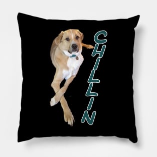 Yellow Labrador chillin Pillow