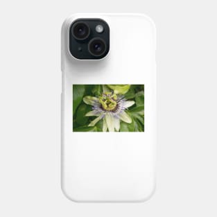 blb passion fruit Phone Case