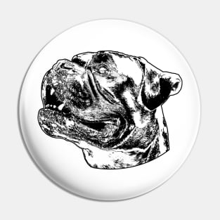 Boxer dog head schwaz Pin