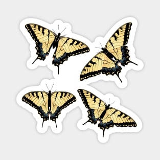 Yellow tiger swallowtail Magnet