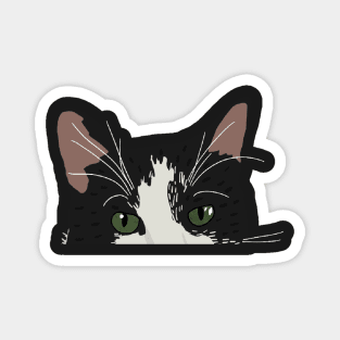 Tuxedo Cat Eyes Magnet