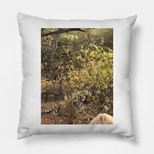 Tiger 2 Pillow