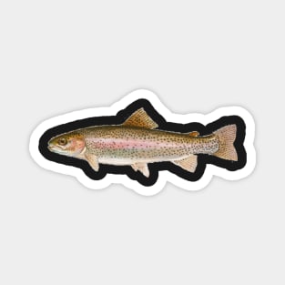 Rainbow Trout Magnet