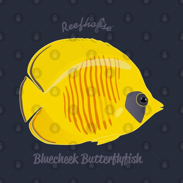 Bluecheek Butterflyfish by Reefhorse