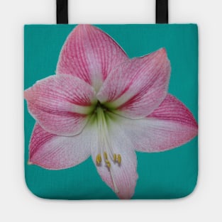 Pink Amaryllis Tote