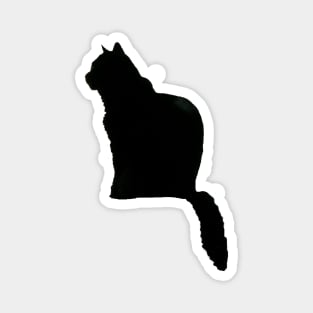 Black Cat Silhouette Magnet