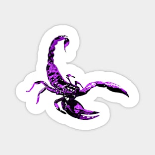 Scorpion Art v3 Magnet