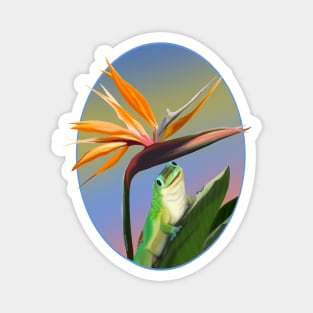 Bird of paradise day gecko Magnet