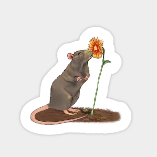 Rat with a flower Magnet