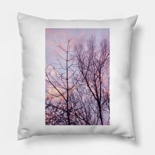 Barren trees ~ evening sky Pillow